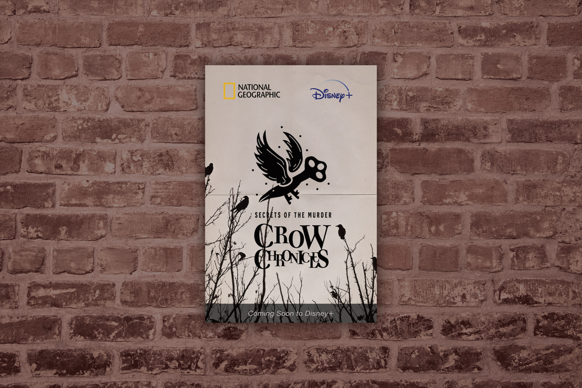 CrowPoster-Mockup-1